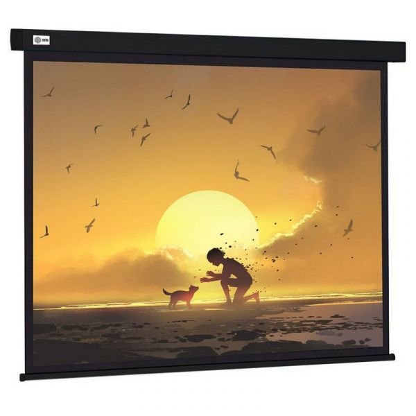 Экран для проектора Cactus Wallscreen CS-PSW-150X150-BK настенно-потолочный